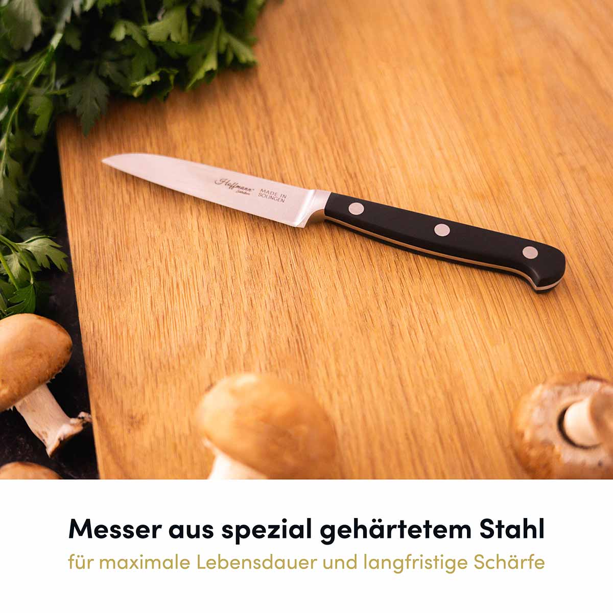 Messer Vollausstattung, 6-teilig I Made in Solingen