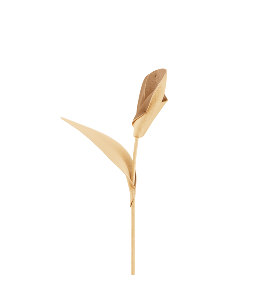 Blume Pili - Duo Weizen Genarbtes Leder