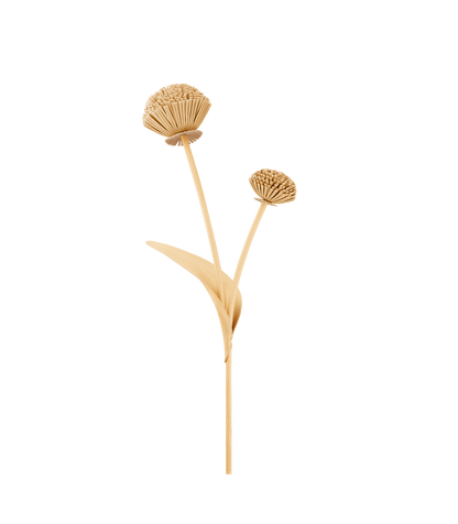 Blume Tul - Duo Weizen Genarbtes Leder